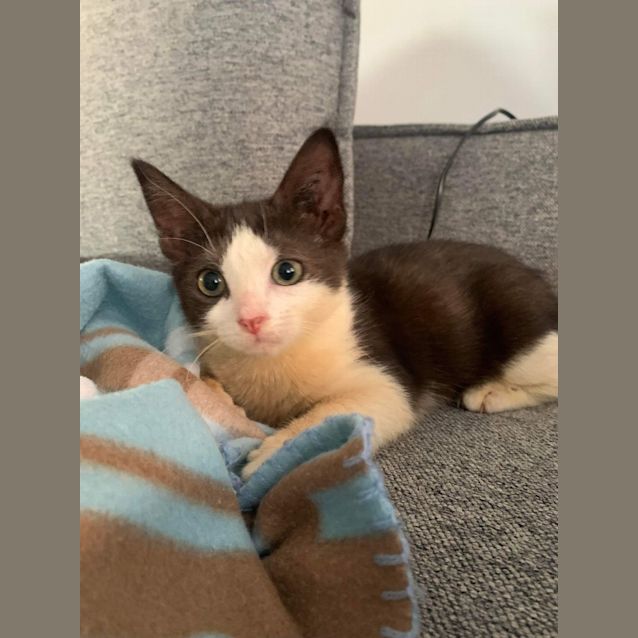 Photo of Montana 🌺