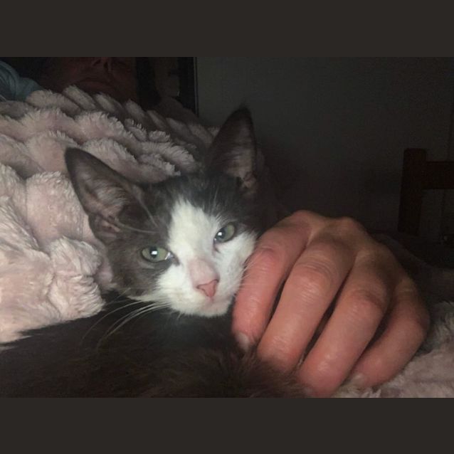 Photo of Montana 🌺