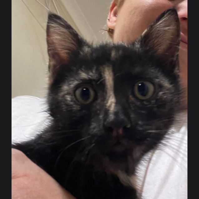 Photo of Zelda
