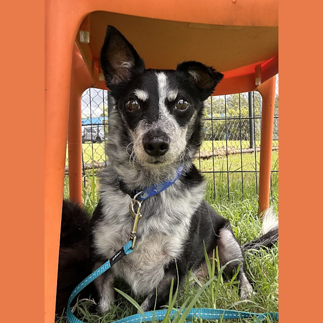 Photo of Bert