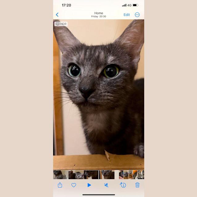 Photo of Lilith