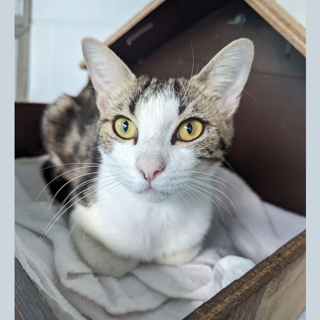 Photo of Rosie