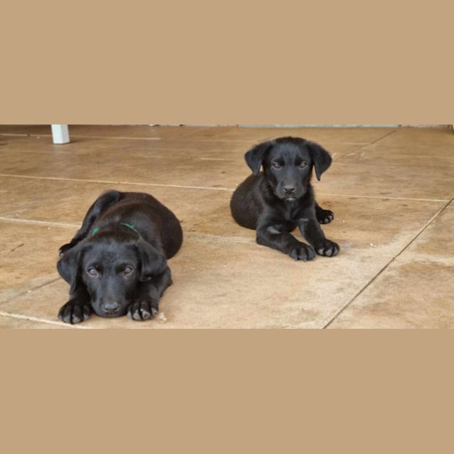 Photo of Fred And Barney