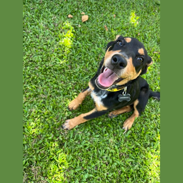 Photo of Meg
