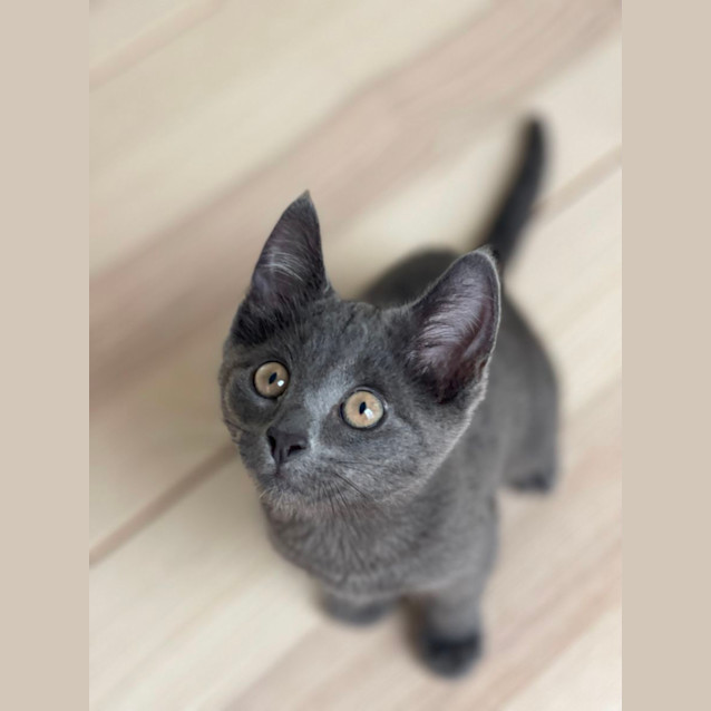 Photo of Dorothy