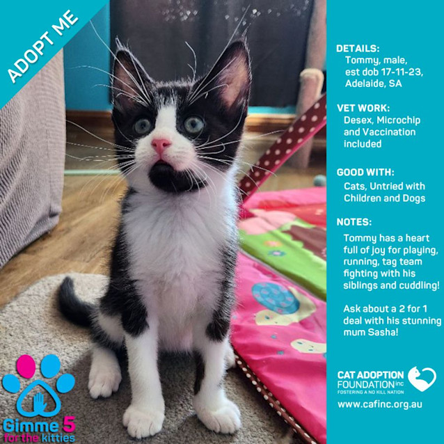 Photo of Sasha And Tommy 2 For 1 Deal!