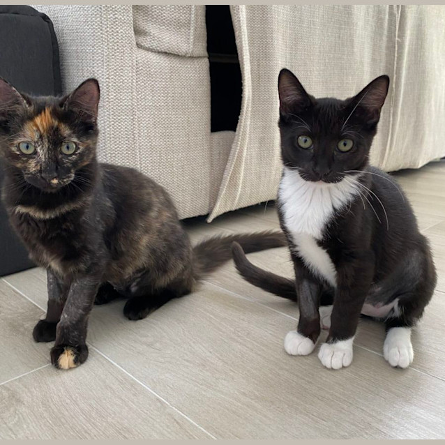 Photo of Minnie & Winnie