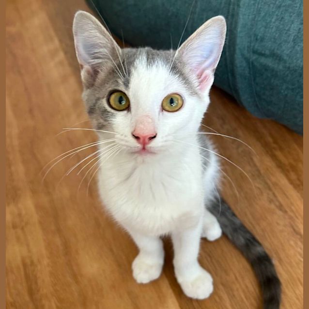 Photo of 🩷Lolly🩷