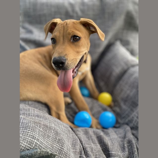 Photo of Jasper