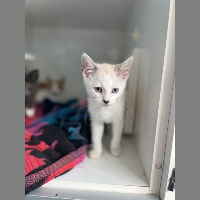 Photo of Milky