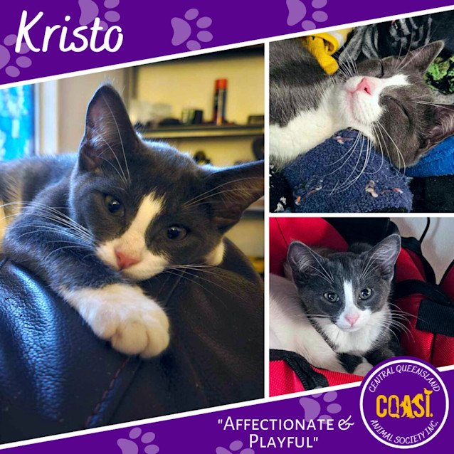 Photo of Kristo
