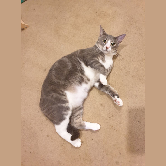 Photo of Joe Jenkins