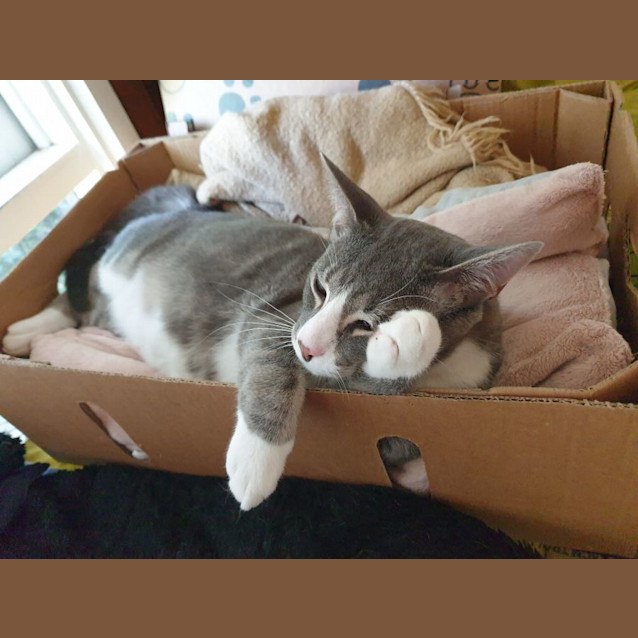 Photo of Joe Jenkins