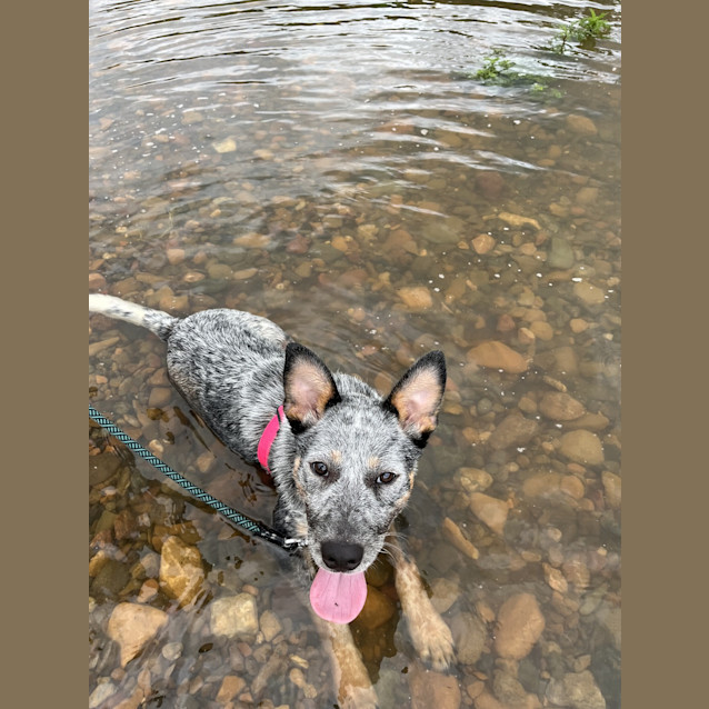 Photo of Murphy