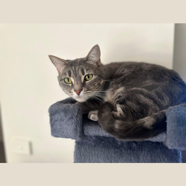 Photo of Zilla Babbington