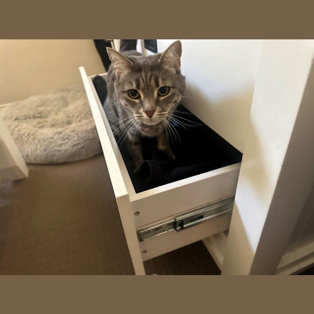 Photo of Zilla Babbington