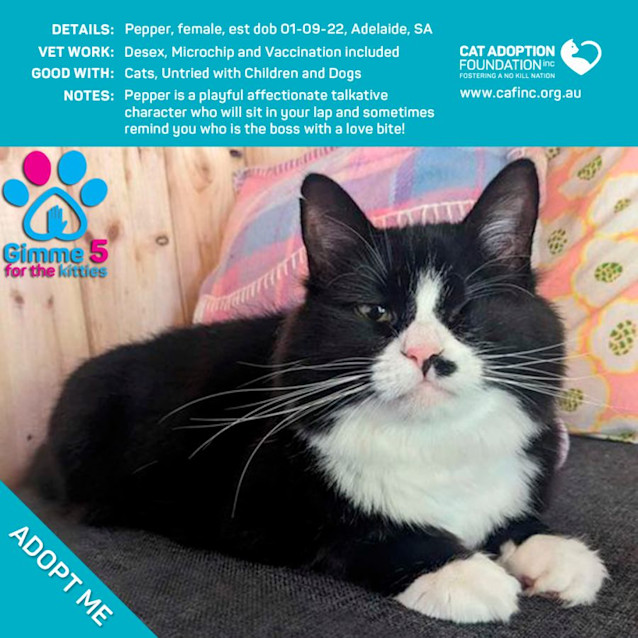 Photo of Pepper Just $39 Limited Time!