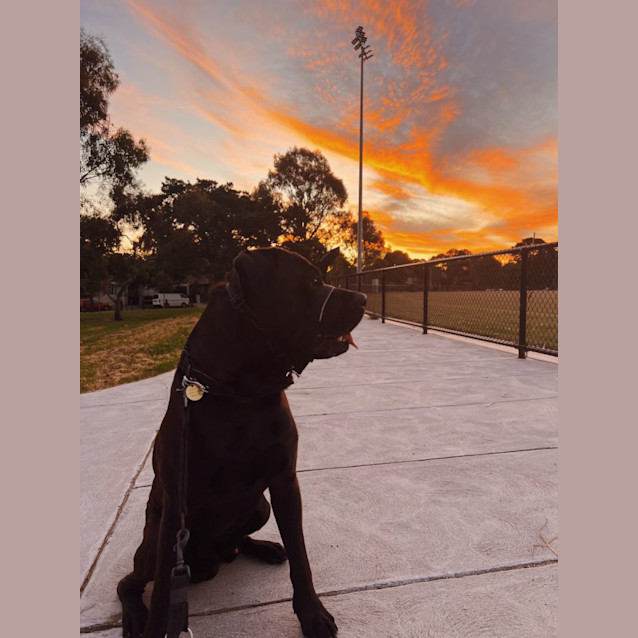 Photo of Bocce