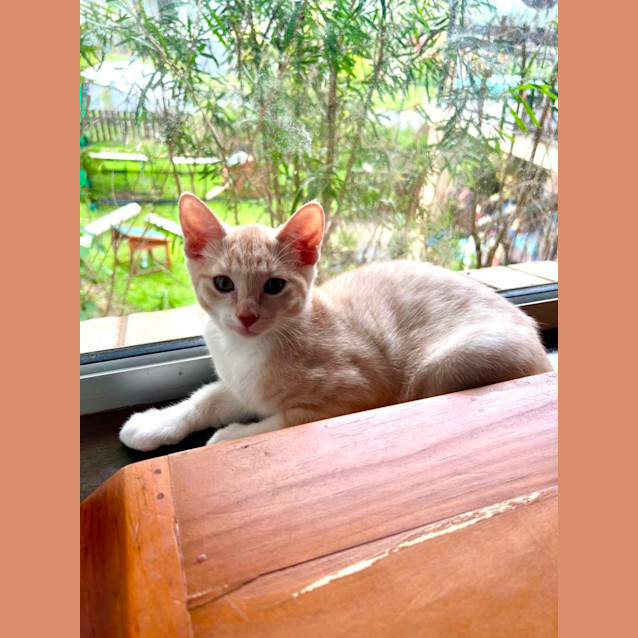 Photo of Sandy