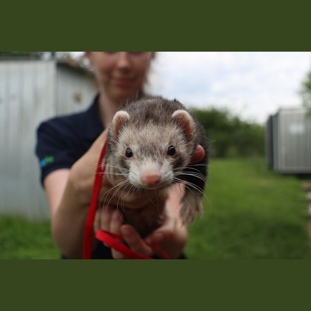 Photo of Lilah