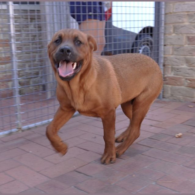Photo of Maverick