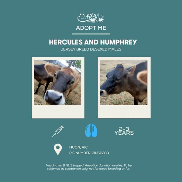 Photo of Hercules And Humphrey
