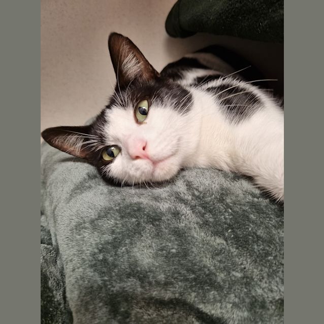 Photo of Fritz