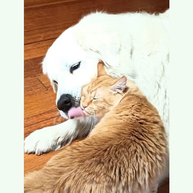 Photo of Oliver Sta011410