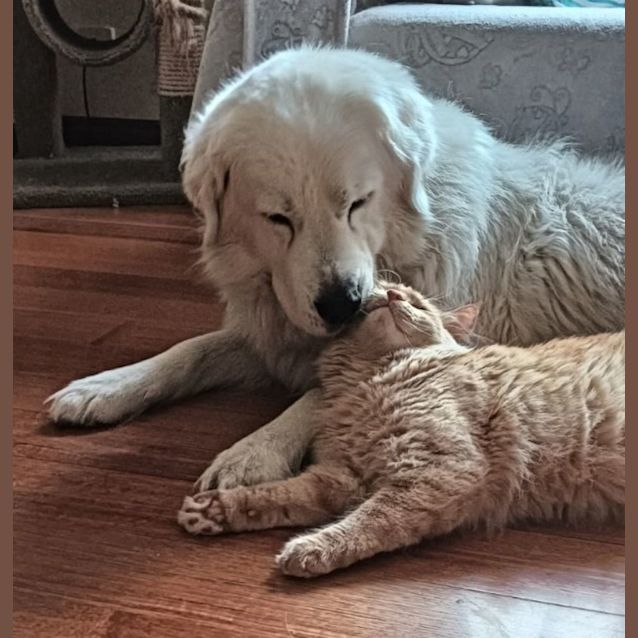 Photo of Oliver Sta011410