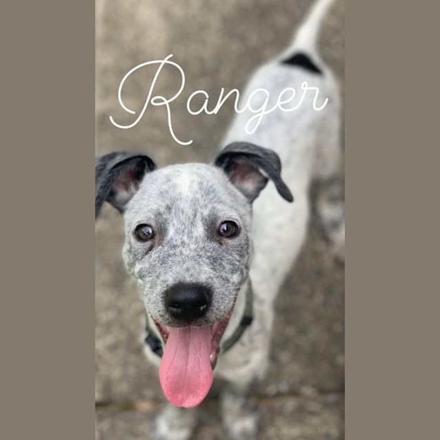 Photo of Ranger And Rusty