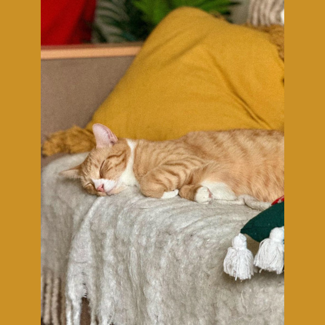 Photo of Snoop And Biggie