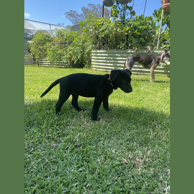 Photo of Molly Morgan