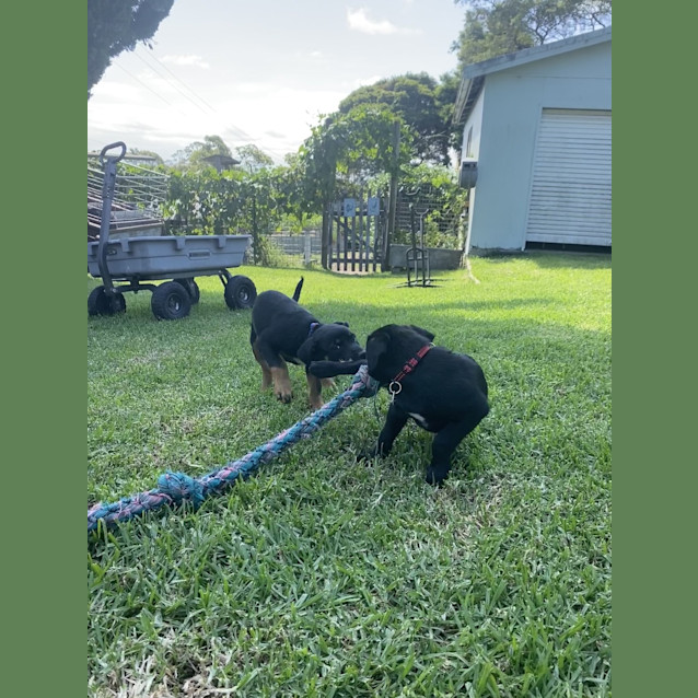 Photo of Molly Morgan