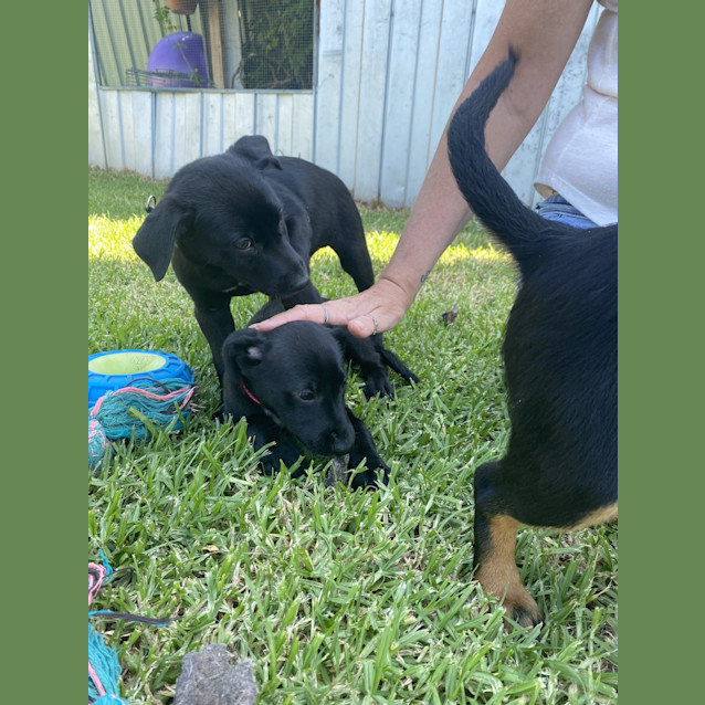 Photo of Molly Morgan