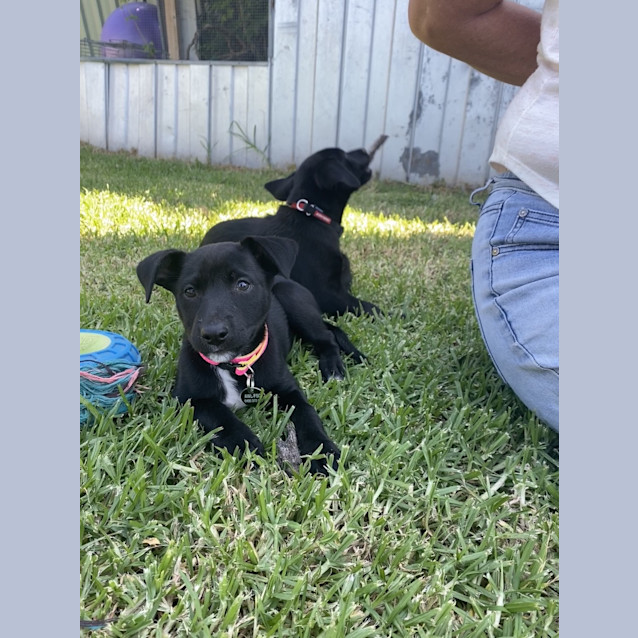 Photo of Molly Morgan