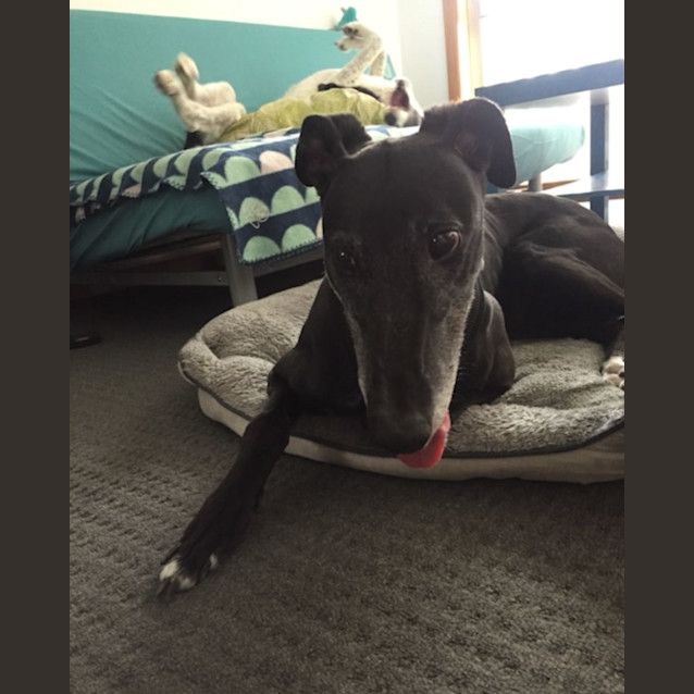 Photo of Emmy Lou