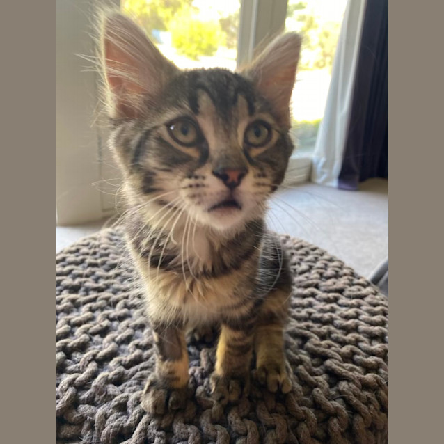 Photo of Mackenzie (Aka Kennie)