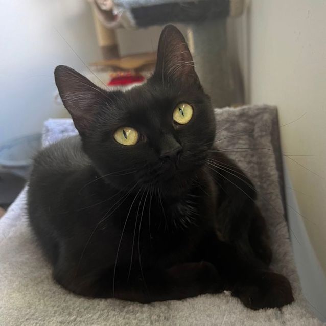 Photo of Jazzy 🎶💕