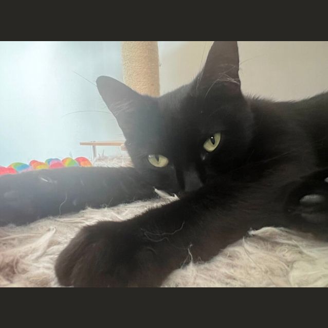 Photo of Jazzy 🎶💕