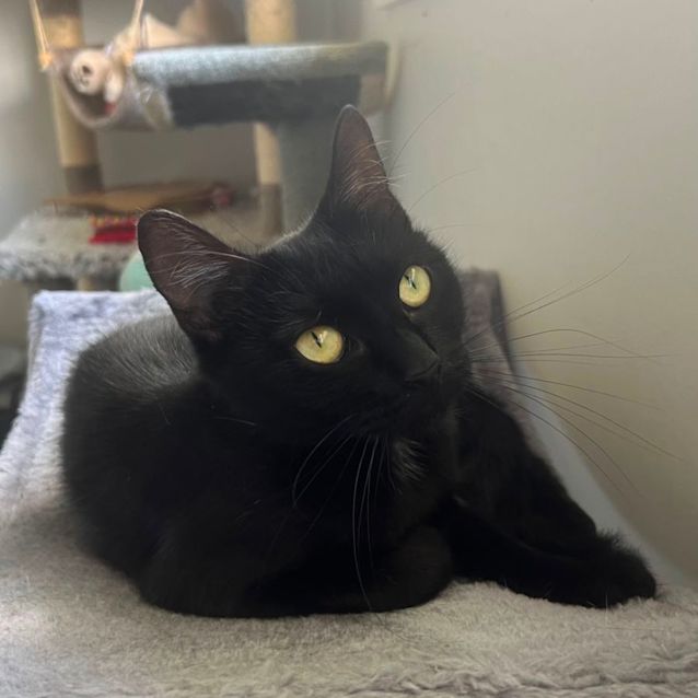 Photo of Jazzy 🎶💕