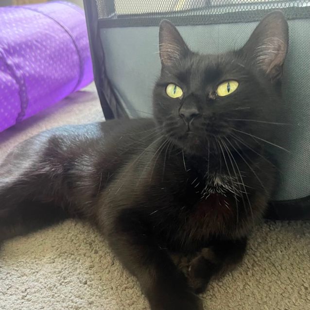 Photo of Jazzy 🎶💕