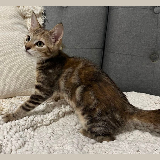 Photo of Elsie 🦋💕