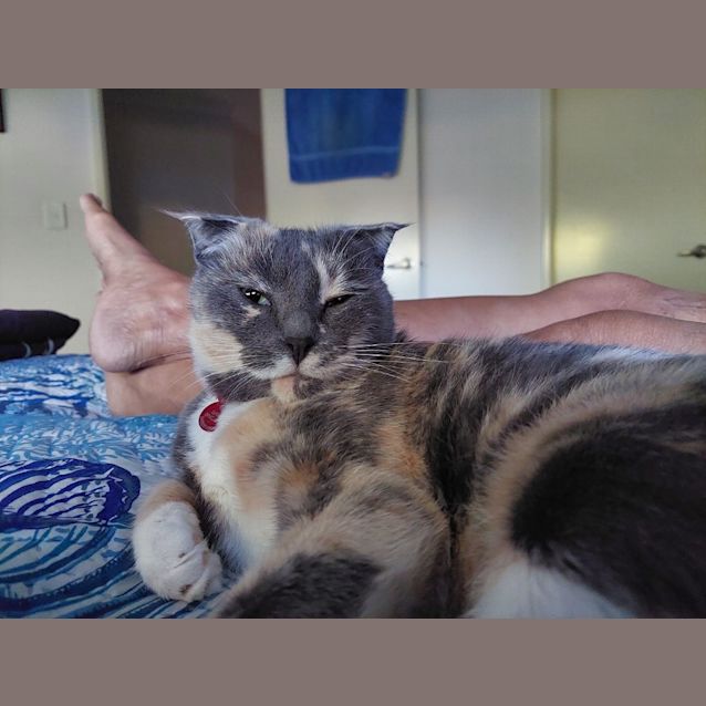 Photo of Tuppence