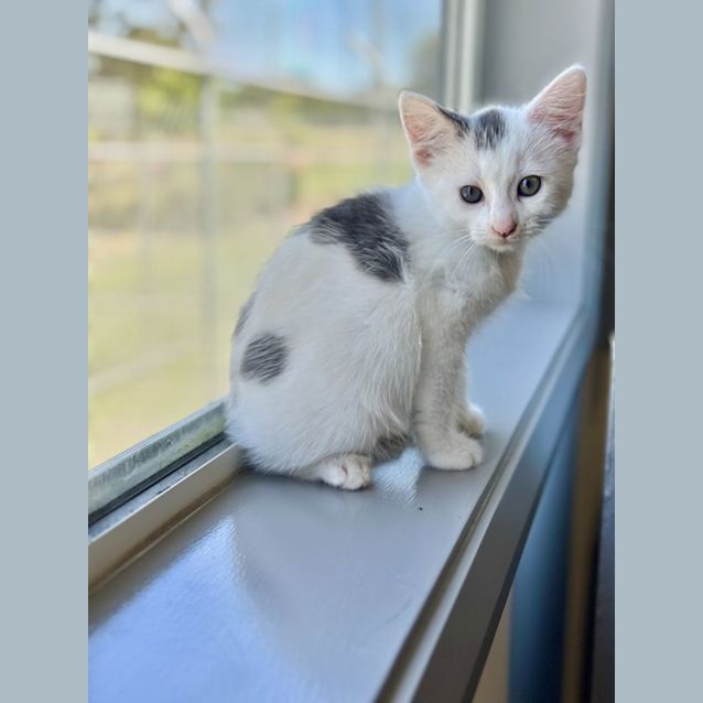 Photo of Dory