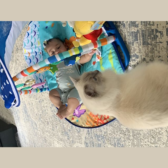 Photo of Ziggy (And Oscar)