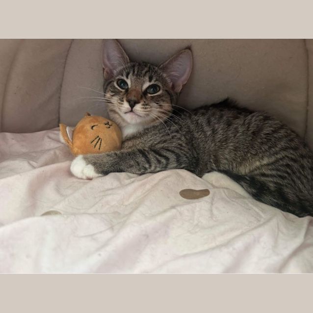 Photo of Calypso 🍦😋