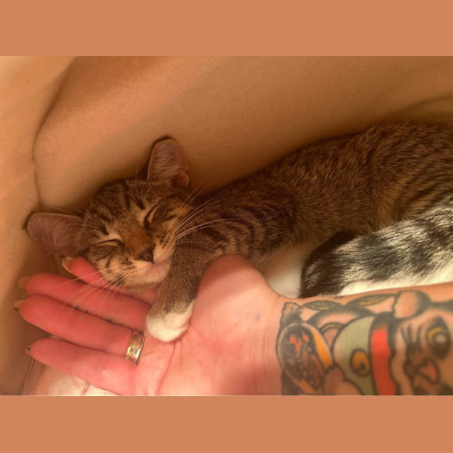 Photo of Calypso 🍦😋