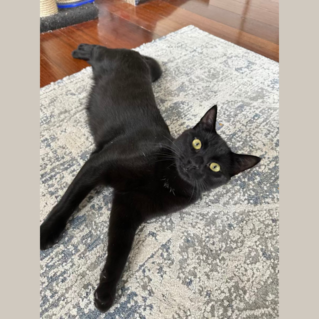 Photo of Laszlo
