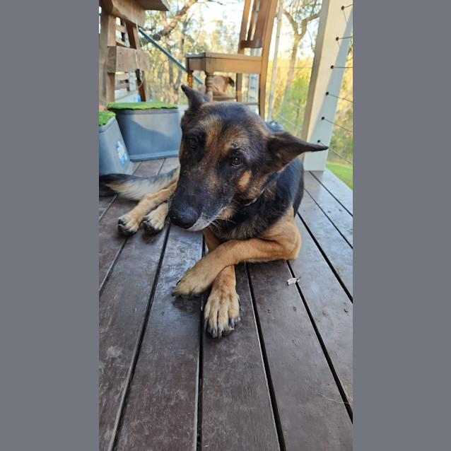 Photo of Gunnar