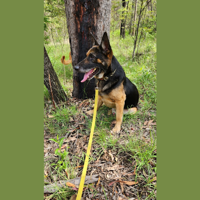 Photo of Gunnar